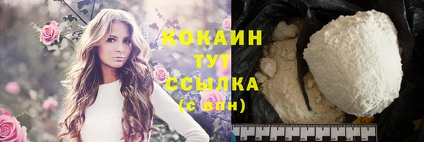 прущий лед Инта