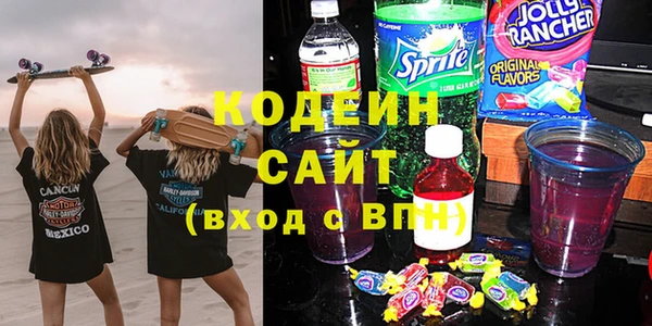 прущий лед Алзамай