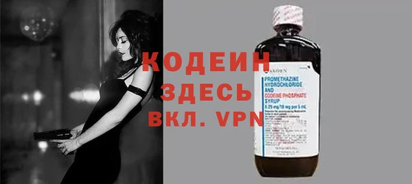 прущий лед Алзамай