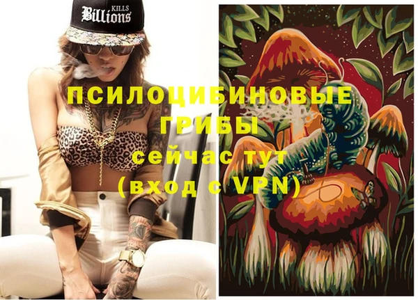 спиды Вязьма