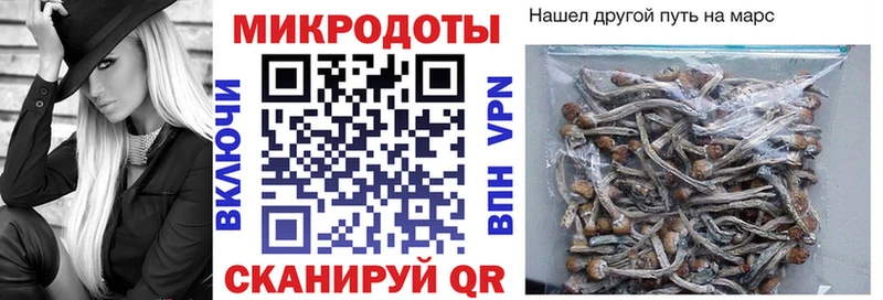 Псилоцибиновые грибы MAGIC MUSHROOMS  KRAKEN ТОР  Тобольск  где купить наркоту 