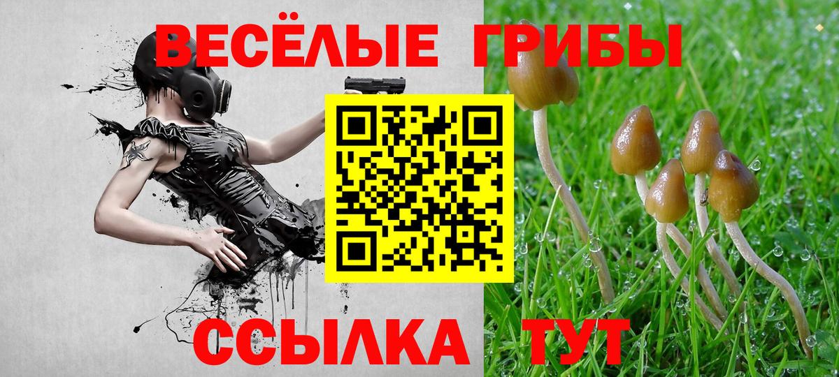 Тобольск  Псилоцибиновые грибы мухоморы  Вход с VPN 